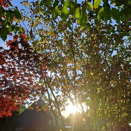 Vakantiehuis La Vauterie