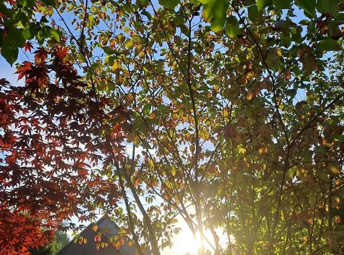 Σπίτι διακοπών La Vauterie